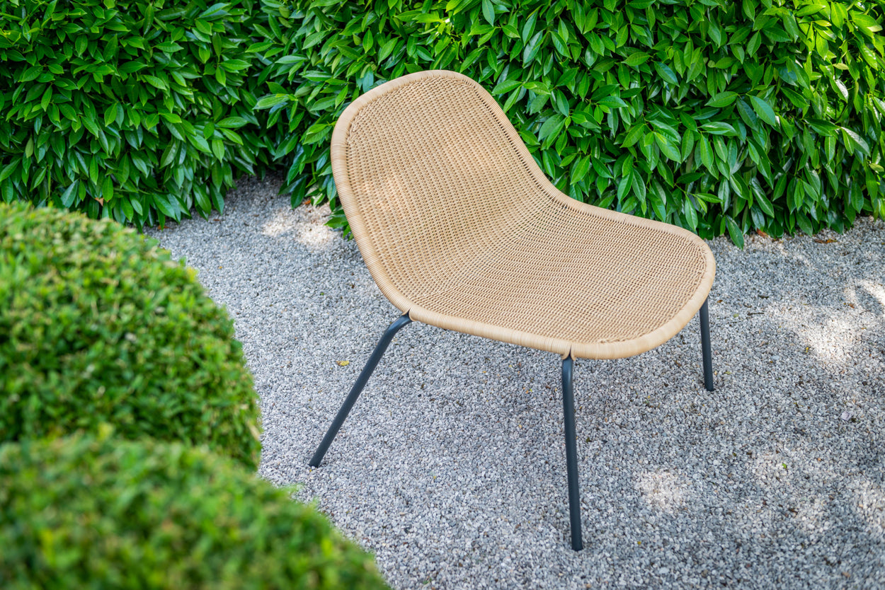 Set Edwin Lounge chair