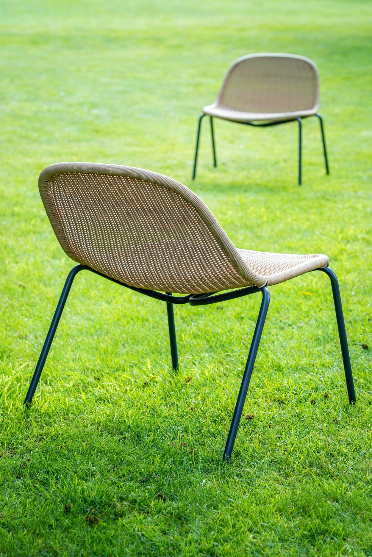 Set Edwin Lounge chair