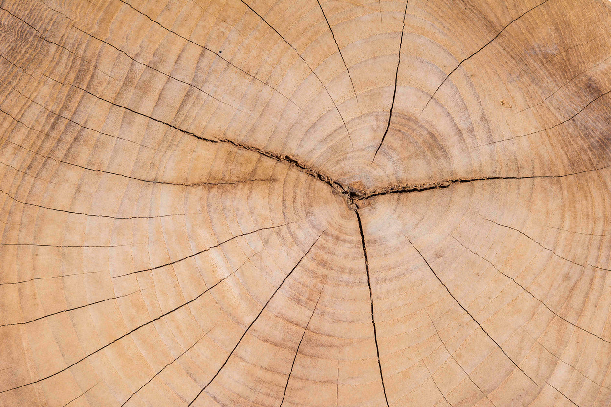 Duncan Small Teak
