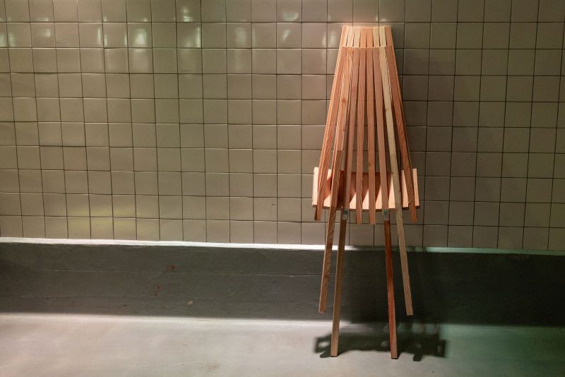 Woodlounger en kussen