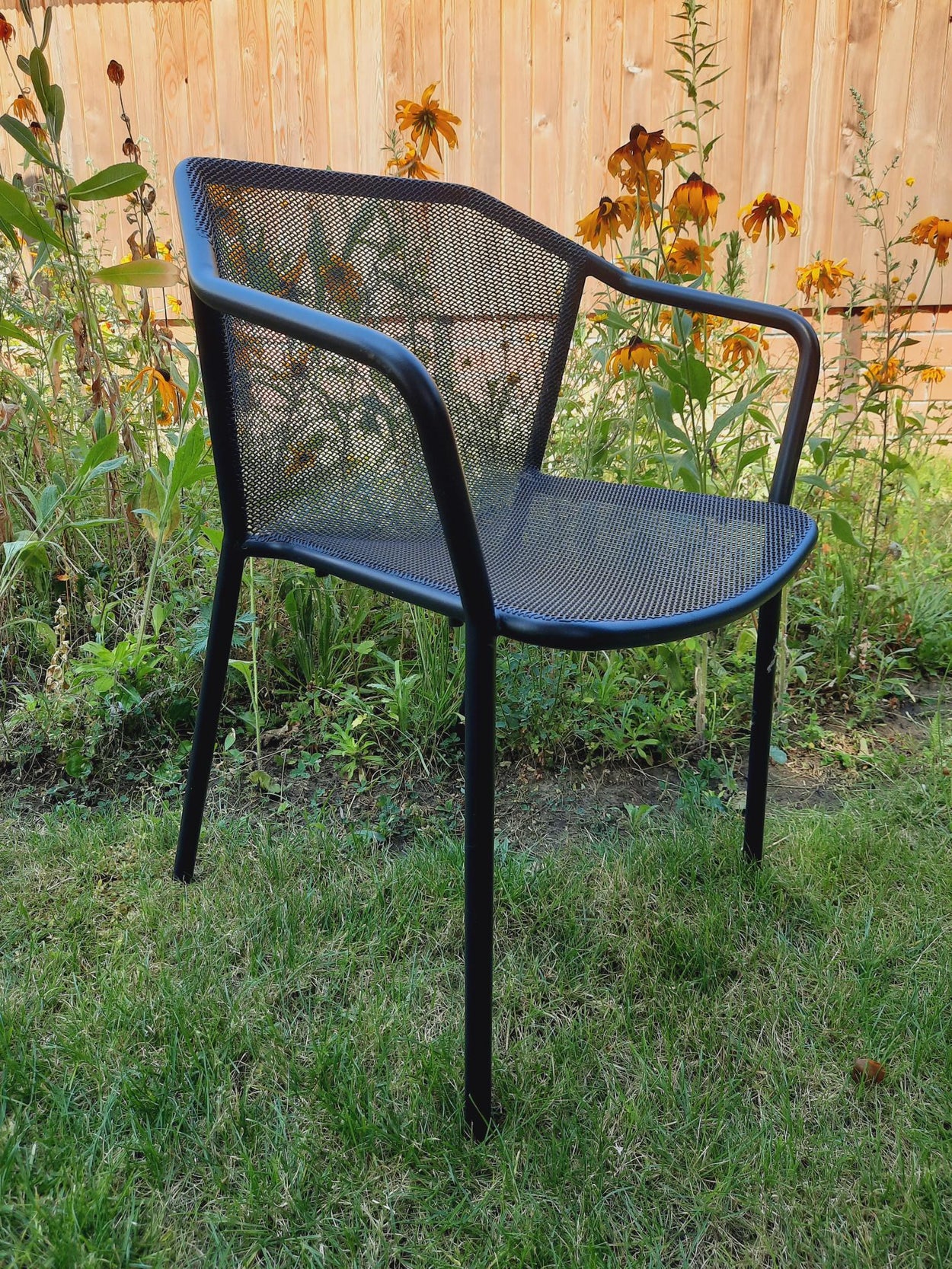Darwin armchair x2