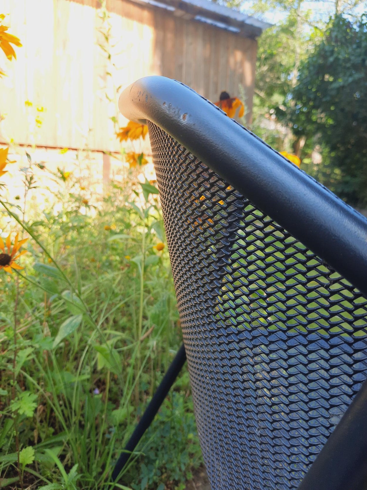 Darwin armchair x2