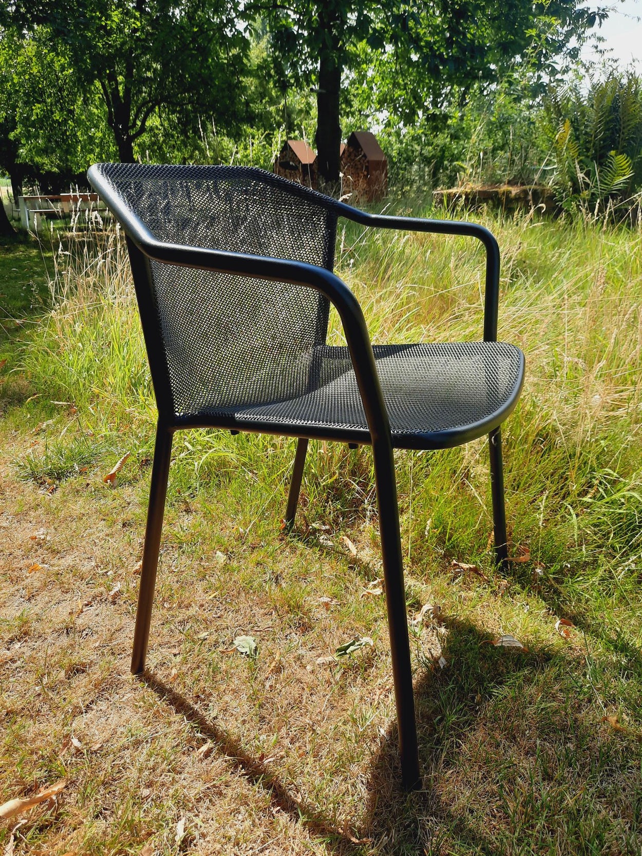 Darwin armchair x2