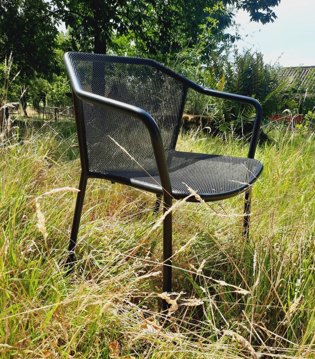 Darwin armchair x2