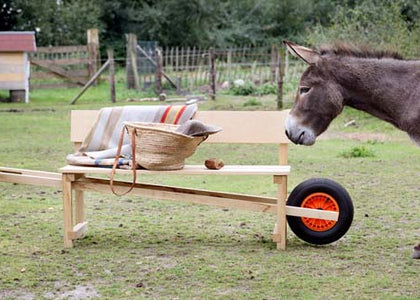 Wheelbench / Kruiwagenbank - Eiken Hout