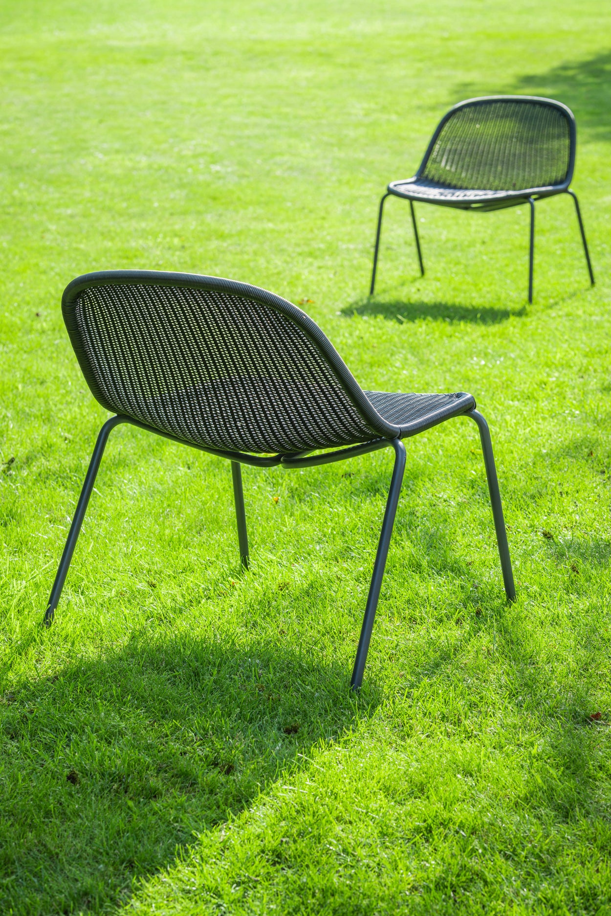 Edwin Lounge chair
