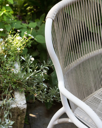 Loop Dining chair