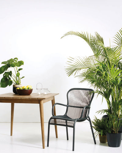 Loop Dining chair