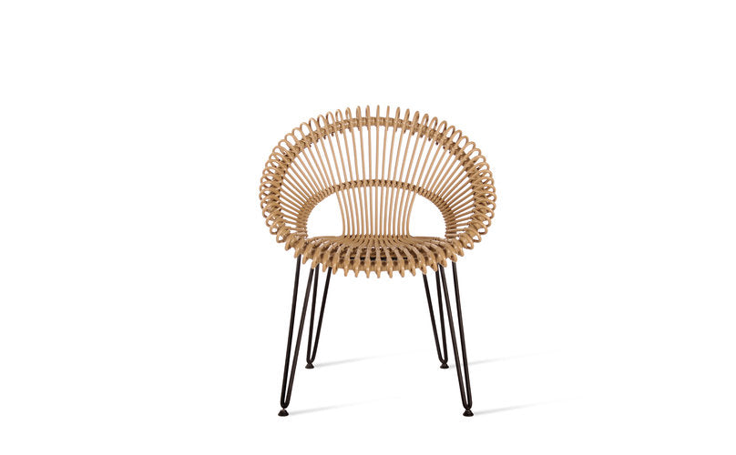 Roxy dining chair