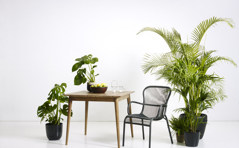 Loop Dining chair