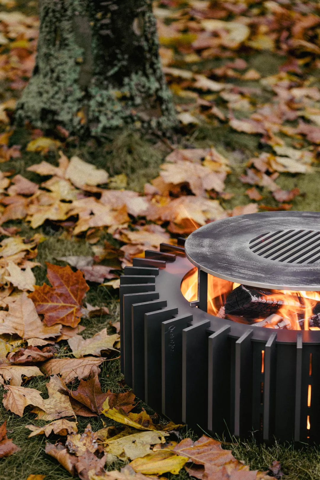 Anemone Lounge Wood - 2 sizes - corten of black