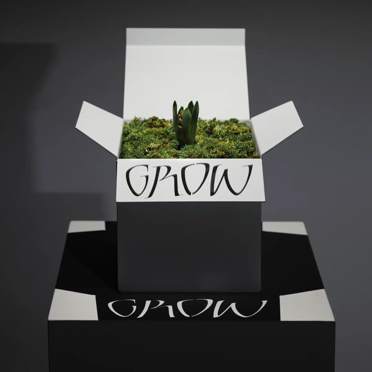 Grow box - Ferdu x Maud Bekaert
