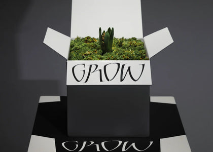 Grow box - Ferdu x Maud Bekaert