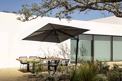 Lewis Dining armchair