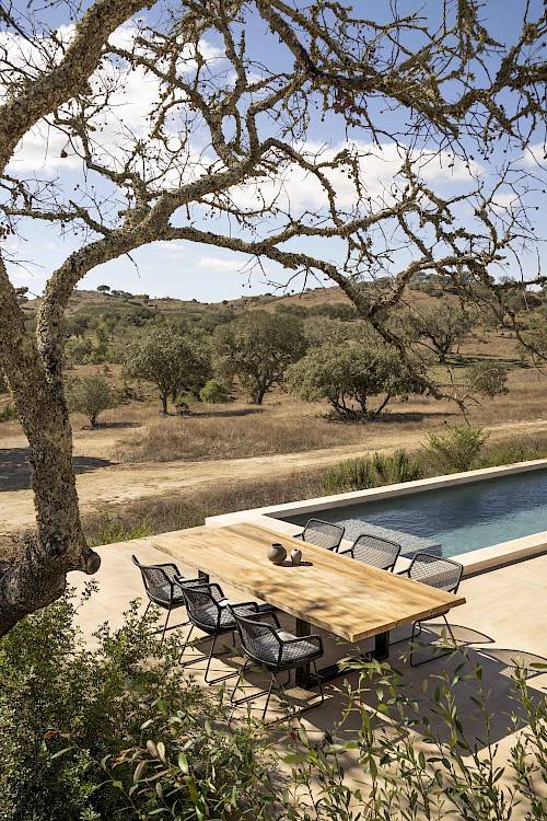 Lewis Dining armchair