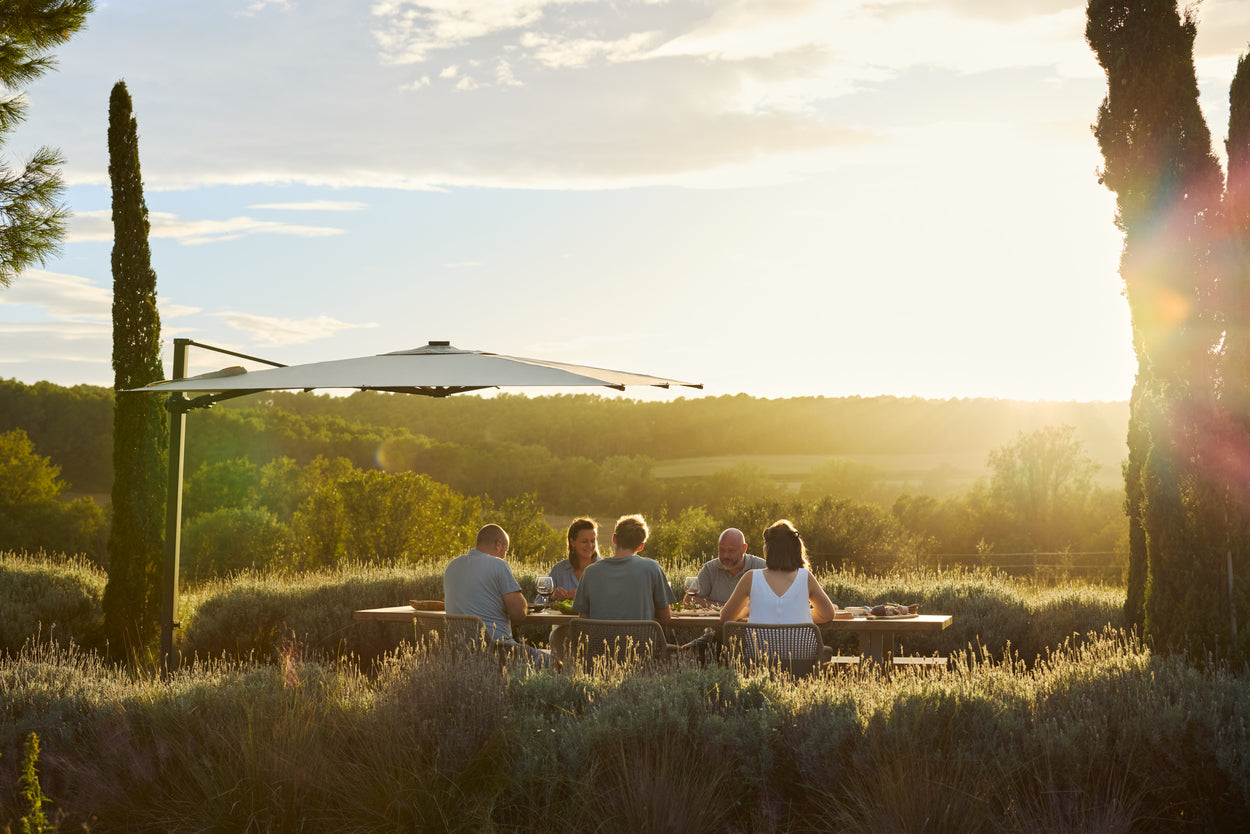 Mani - Dining armchair