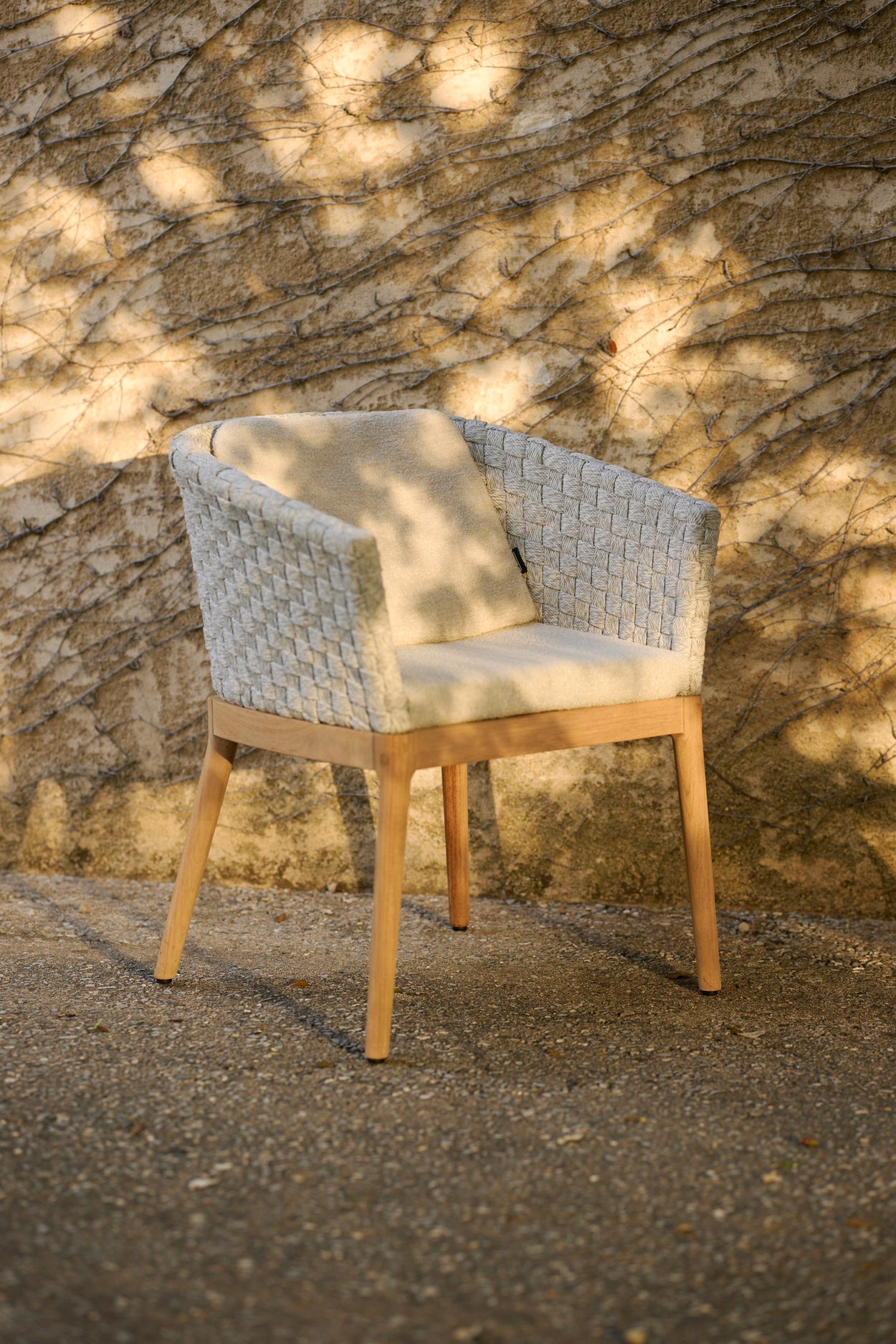 Tondo Dining armchair