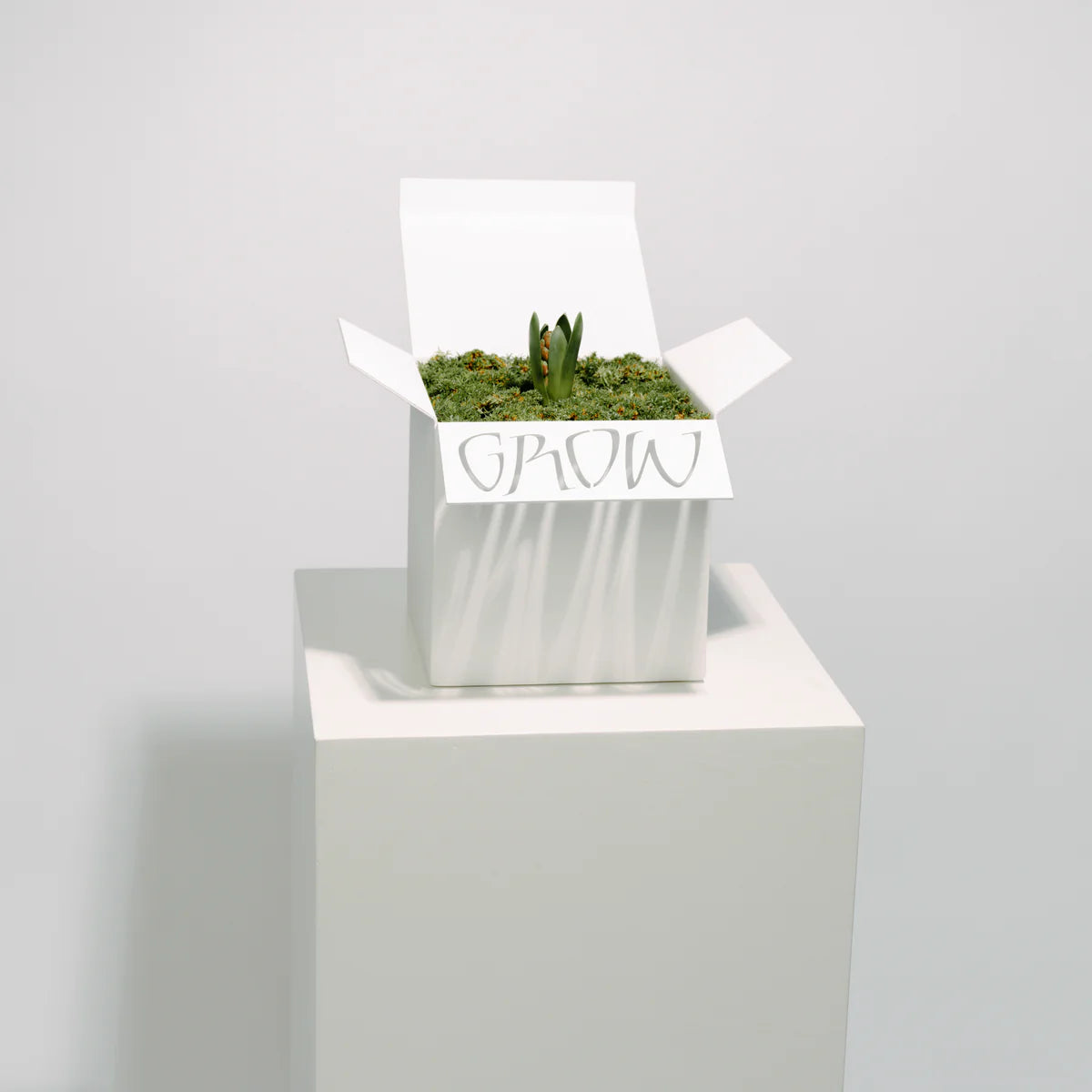Grow box - Ferdu x Maud Bekaert