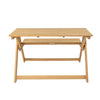 Folding Picnic Table