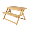 Folding Picnic Table