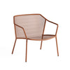 Darwin Lounge chair / 2 stuks