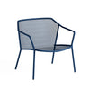 Darwin Lounge chair / 2 stuks