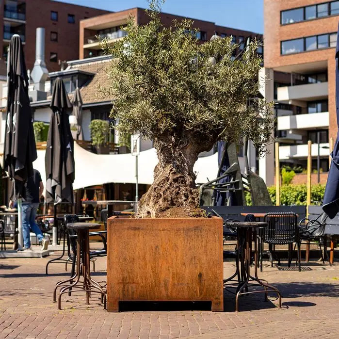 Buitenpotten Carrez met poten - Cortenstaal - vierkant