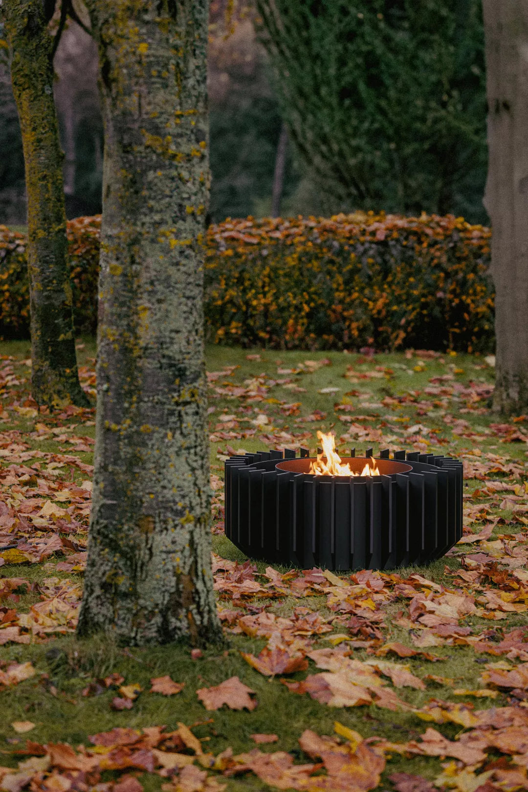 Anemone Gas - 3 sizes - corten of black