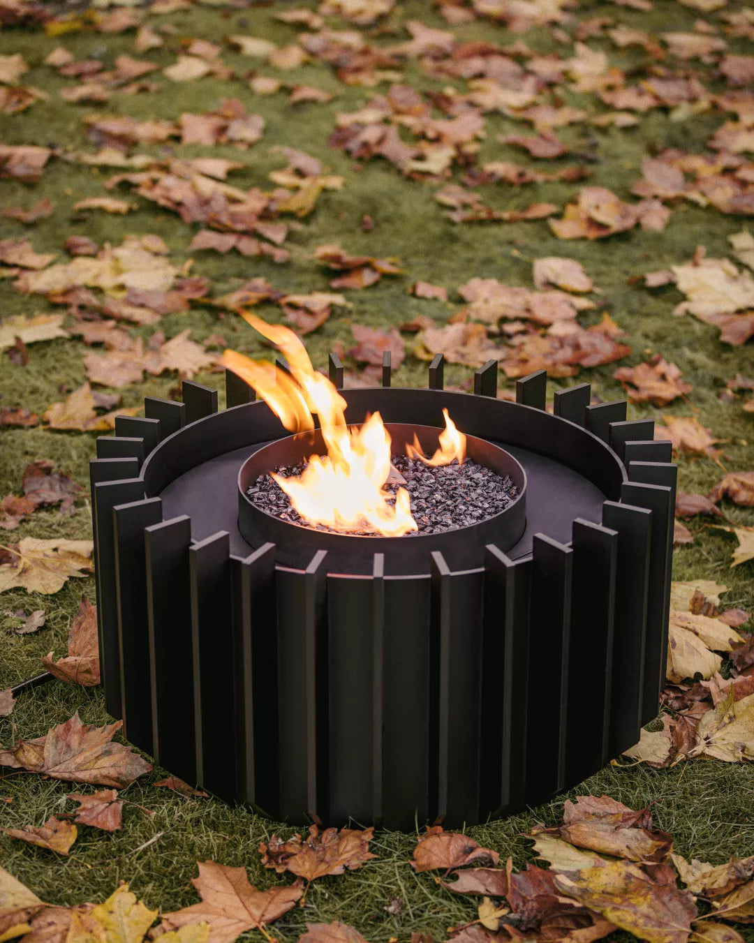 Anemone Gas - 3 sizes - corten of black