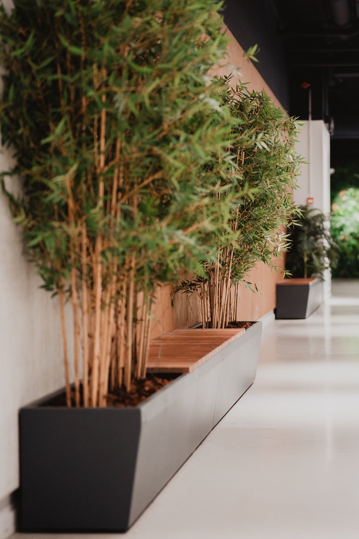 Benta zit- en plantenbak - 7 kleuren