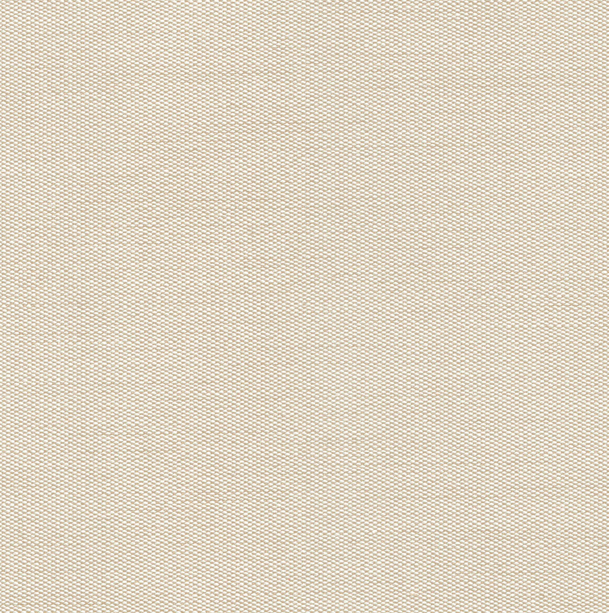 Antego  300 x 200 cm