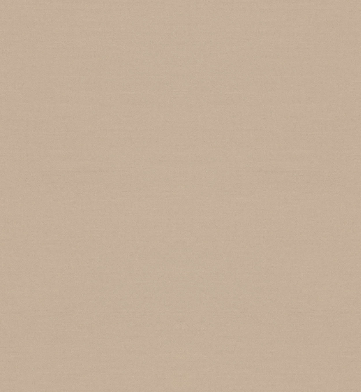 Antego  300 x 200 cm