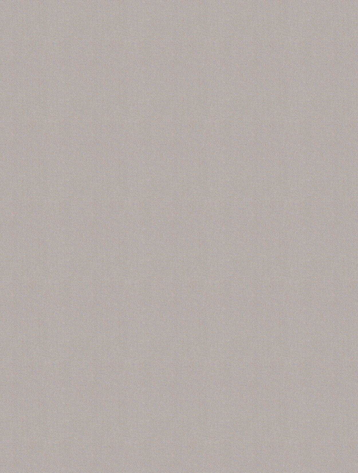 Antego  300 x 200 cm