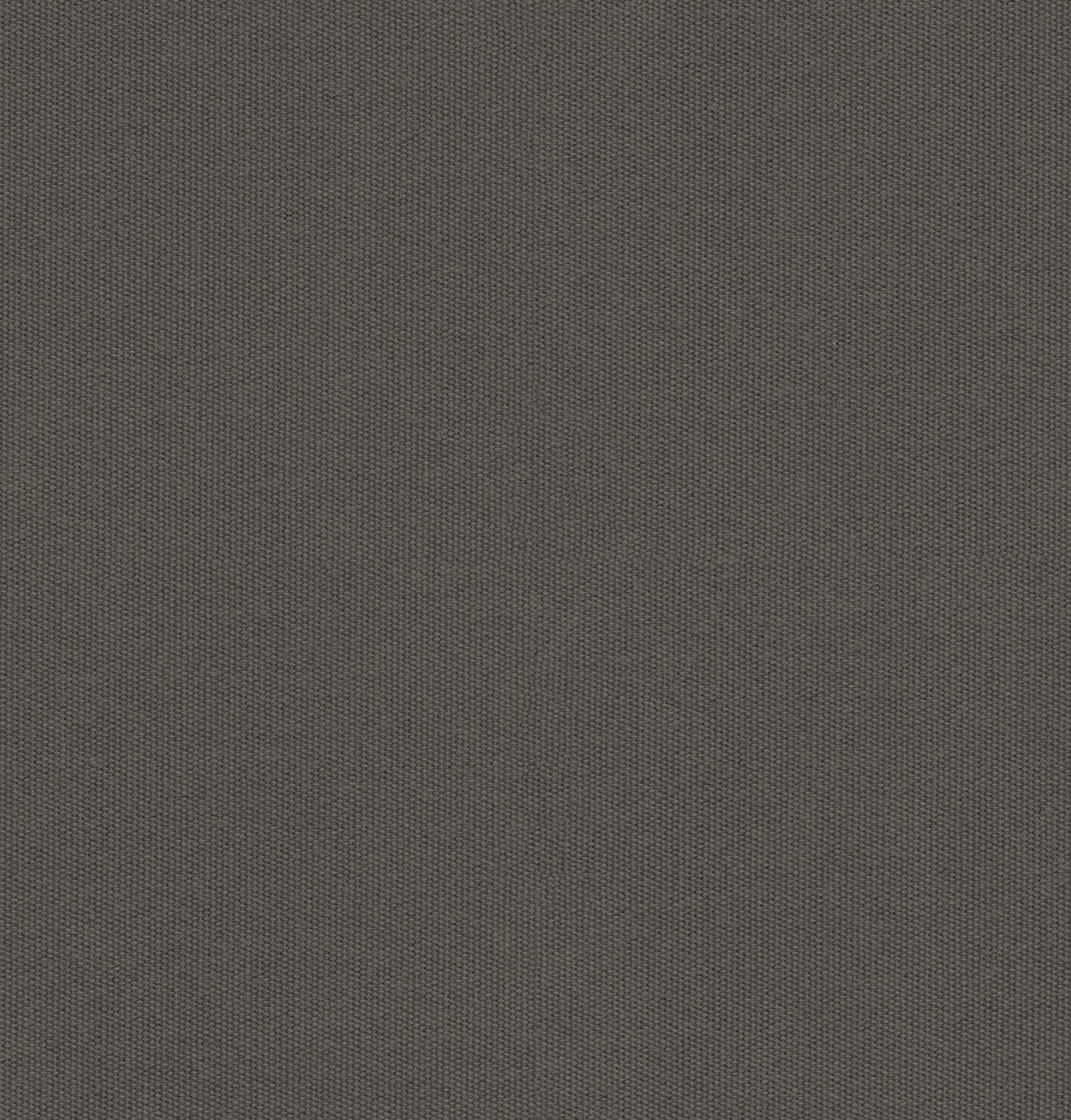Antego  300 x 200 cm