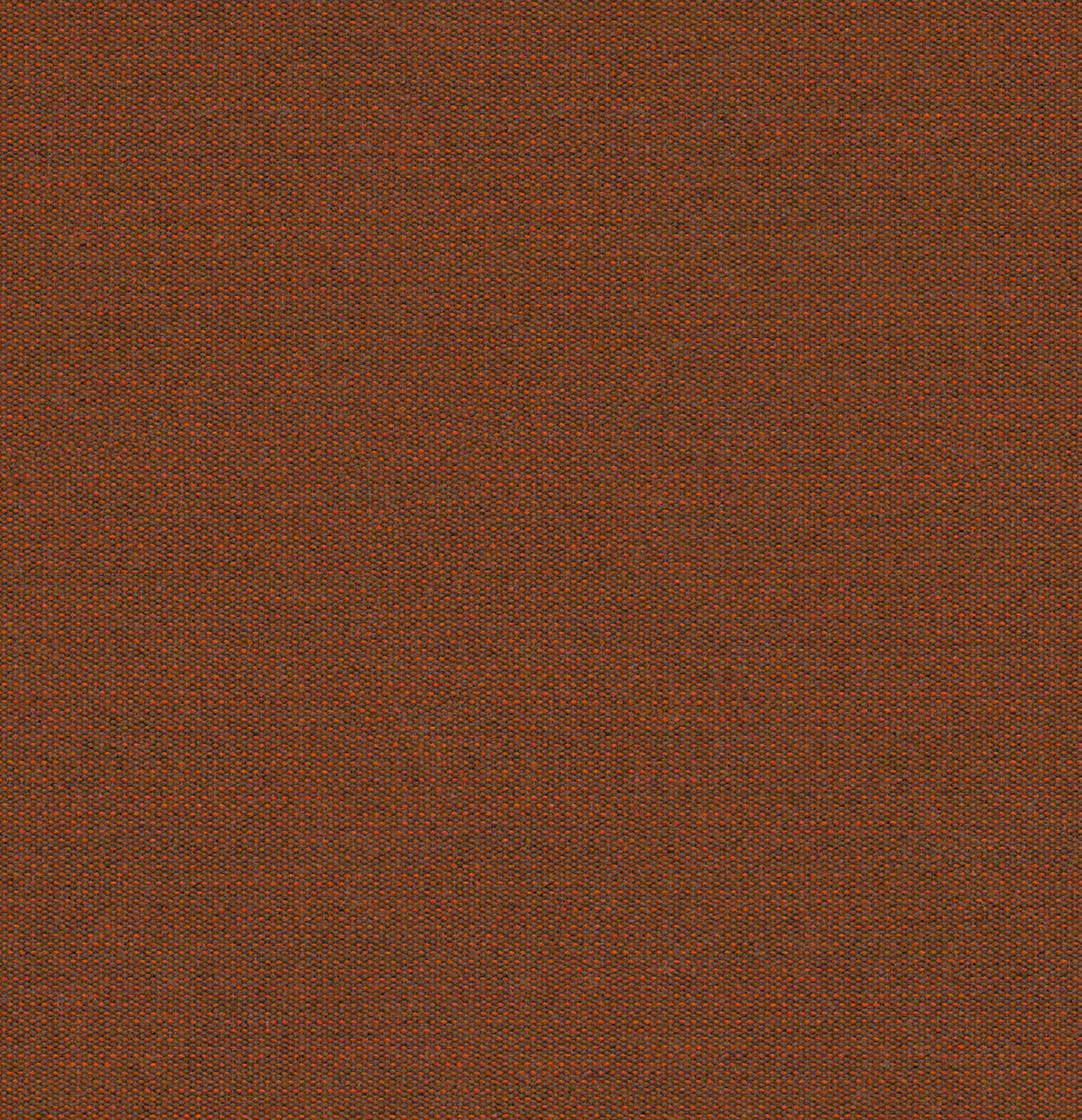 Antego  300 x 200 cm
