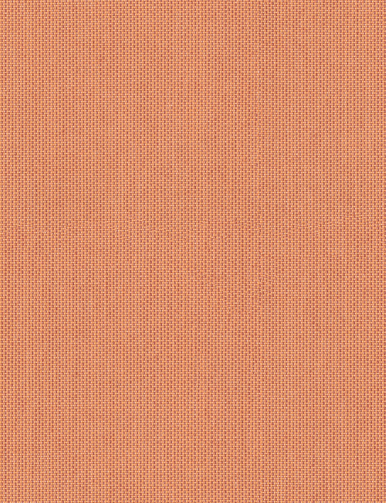 Antego  300 x 200 cm