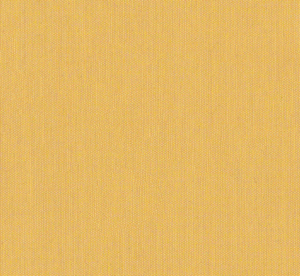 Antego  300 x 200 cm