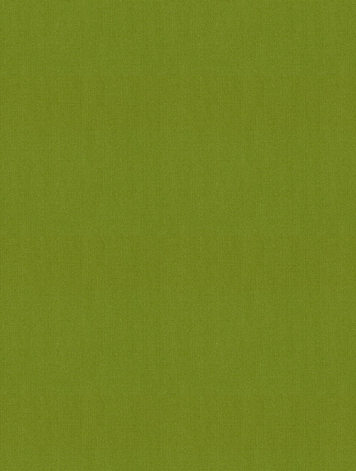 Antego  300 x 200 cm