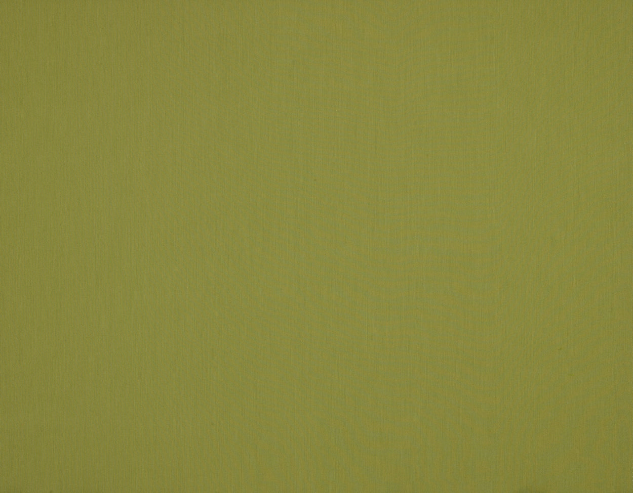 Antego  300 x 200 cm