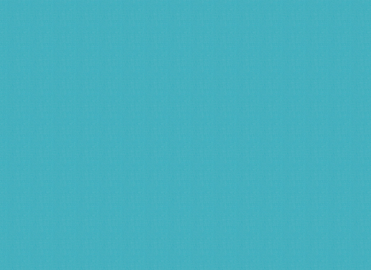 Antego  300 x 200 cm