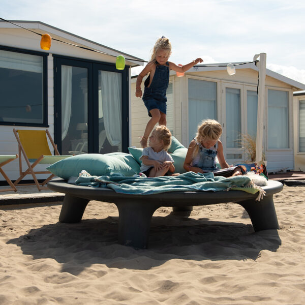 Flying Dishman + gratis Cover - 2 kleuren