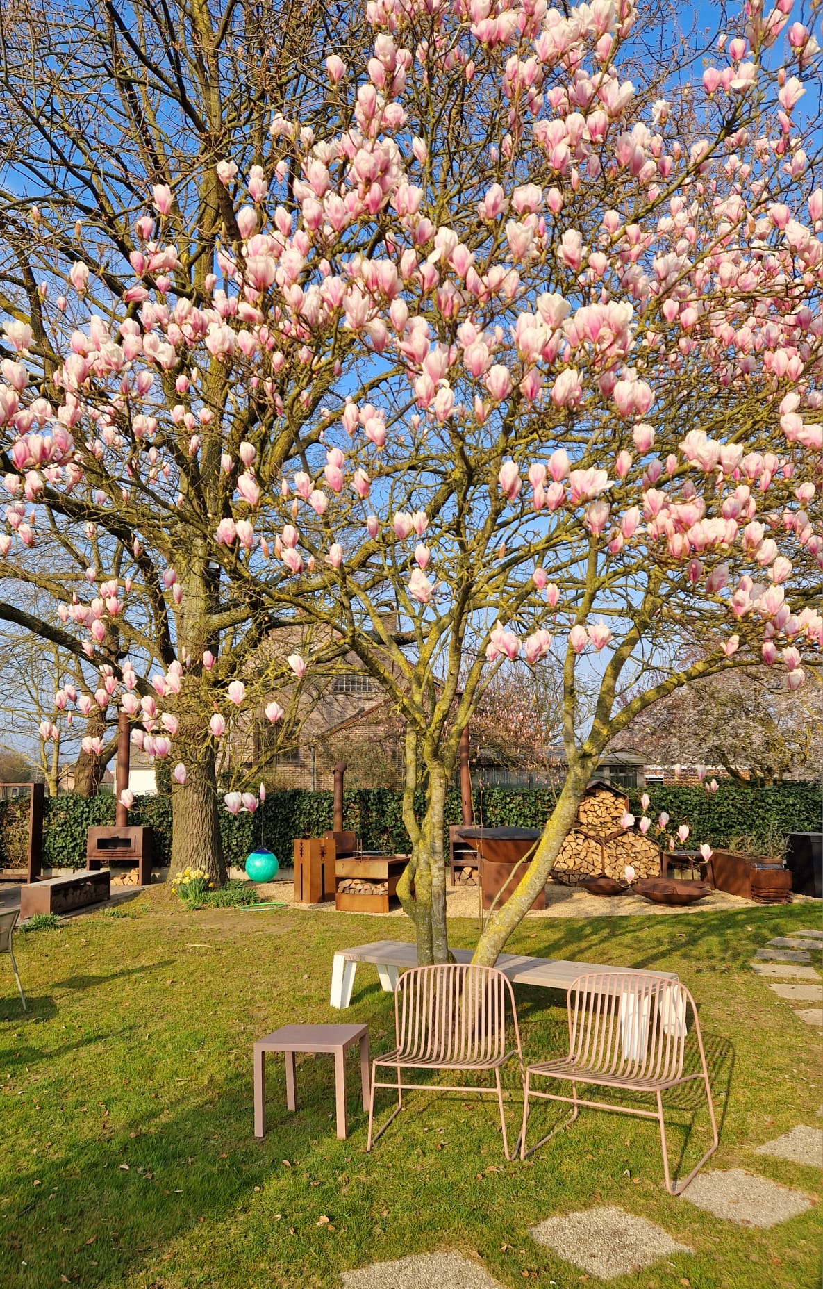 Set Riviera lounge chair x2 + Round coffee table