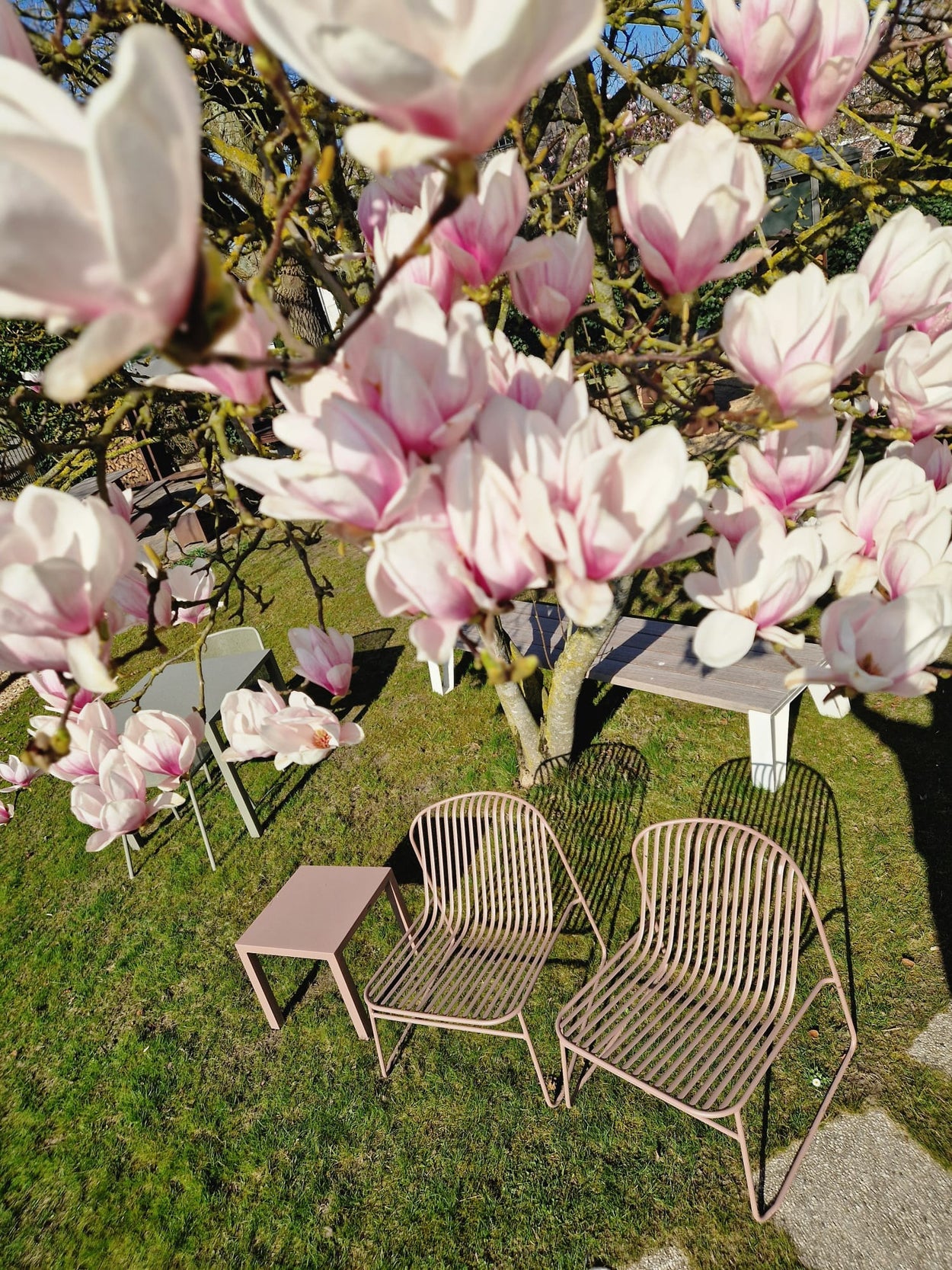 Set Riviera lounge chair x2 + Round coffee table