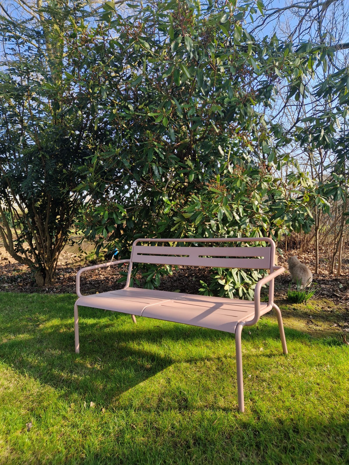 Star Sofa - Magnolia pink