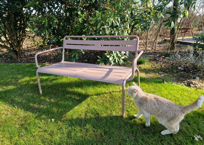 Star Sofa - Magnolia pink
