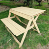Folding Picnic Table