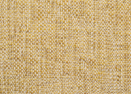 Zit- en rugkussen Roy Collectie