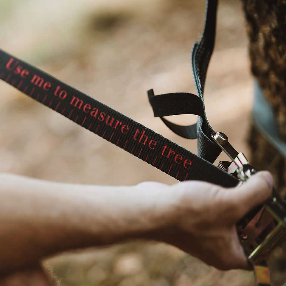 Spanbanden Set Swing