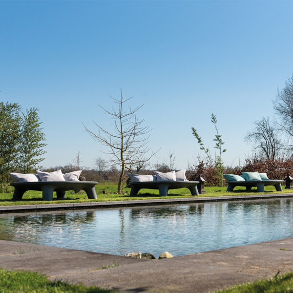 Flying Dishman + gratis Cover - 2 kleuren