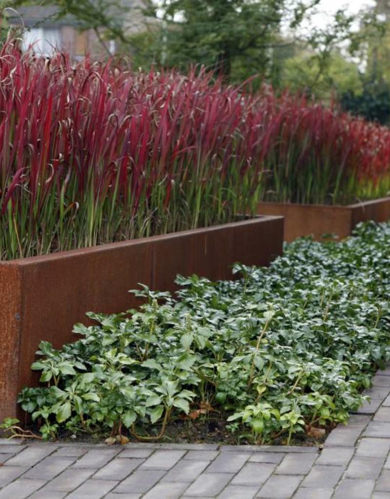 Buitenpotten Carrez standaard - Cortenstaal - rechthoek